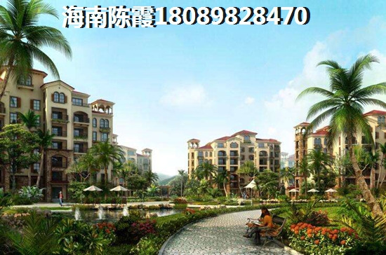 文昌XG政策