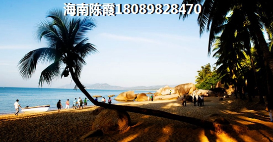 碧桂园椰城楼盘配套