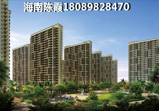 为什么还没买到碧桂园椰城的房子？
