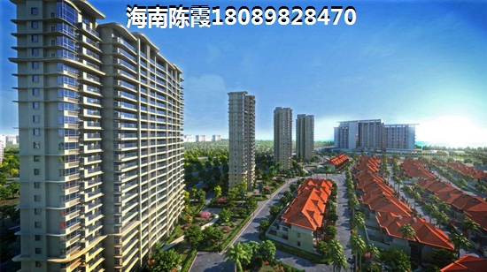 红树湾国际度假公馆开发商怎么样？