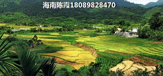 东方豪苑海景房的优势和不足