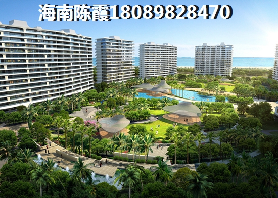 金海假日VS海口湾1号分析对比 金海假日VS海口湾1号分析对比