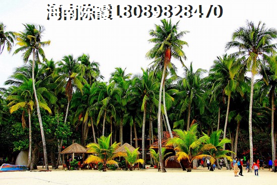 海南文昌房价会不会持续上涨