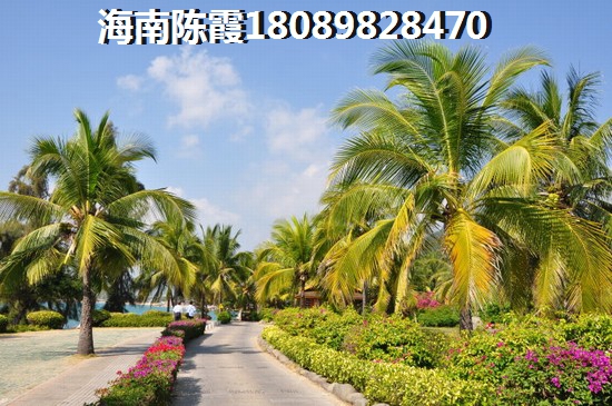 “候鸟”海南文昌购房指南