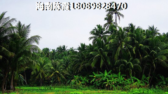 文昌月亮湾房价趋势预测~