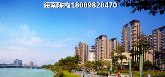 海南月亮湾买房什么地方生纸快