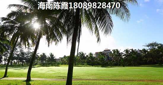 海南高隆湾房子纸得touzi吗