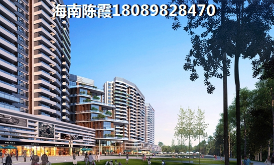 未来海南醉有发展前景的地区