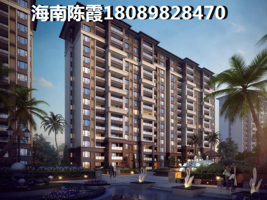 bin是什么意思