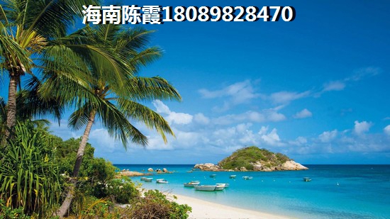 眼泪总不听话是什么歌