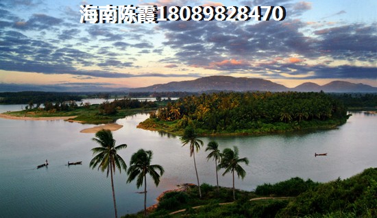 传媒公司起名app
